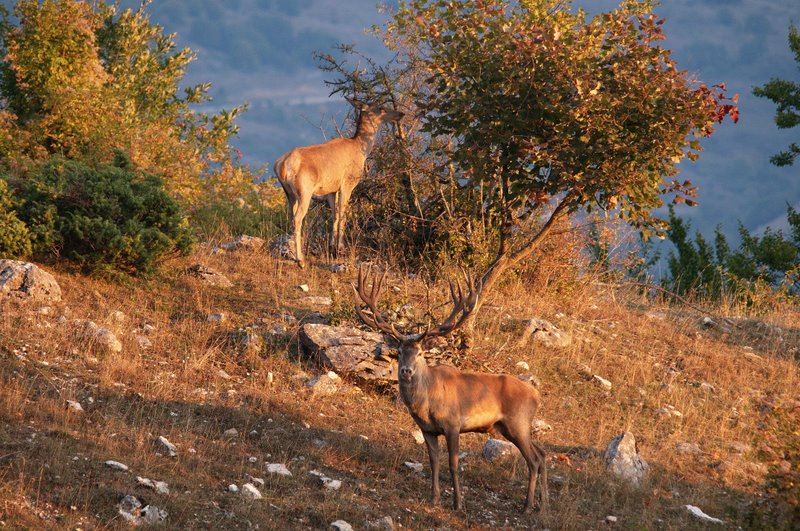 Equinozio d''autunno